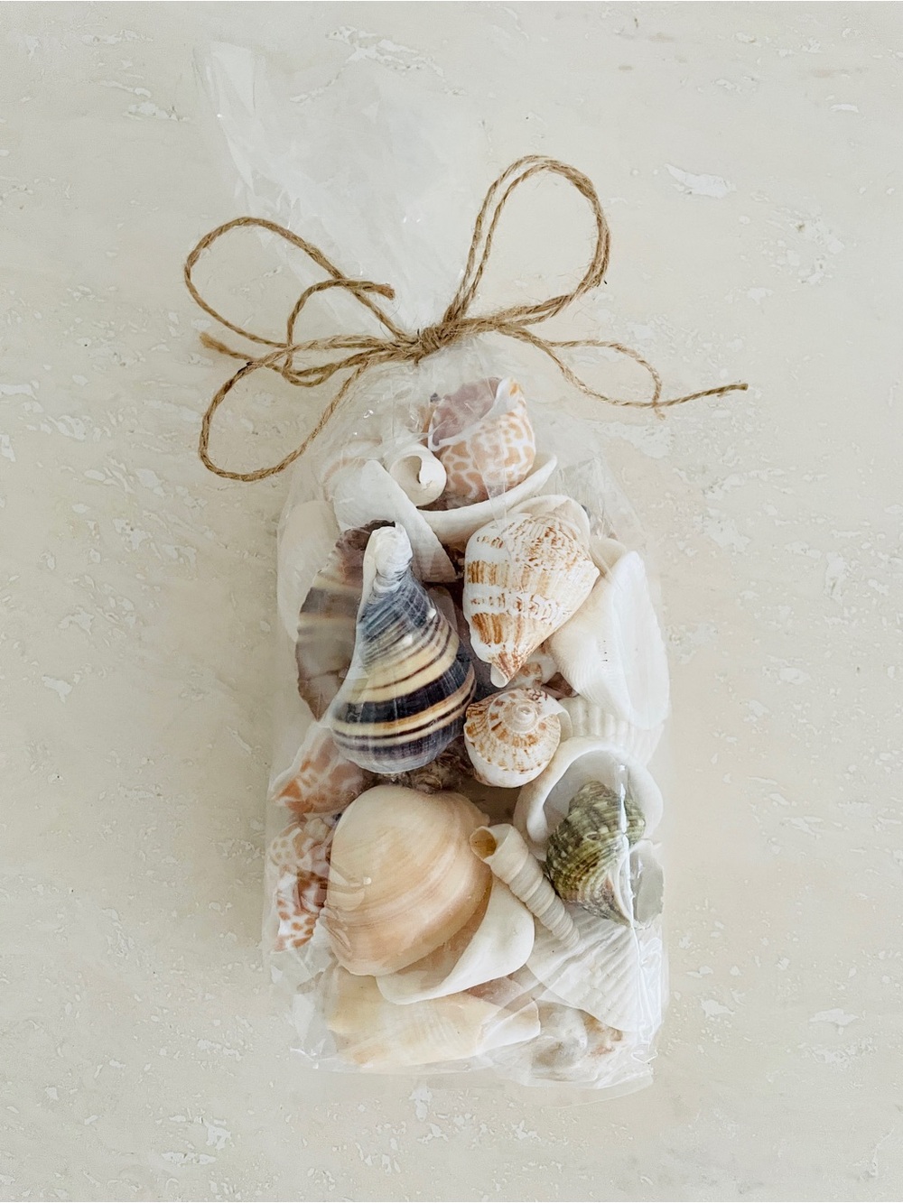 Coastal Charm Assorted Seashell Shell Collection Nautical Event Beach Home Decor